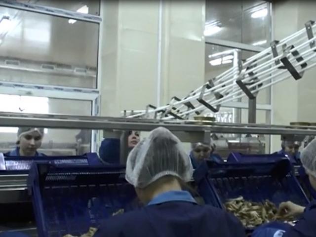 Гравитационная направляющая для пустой жестяной тары в Светлом